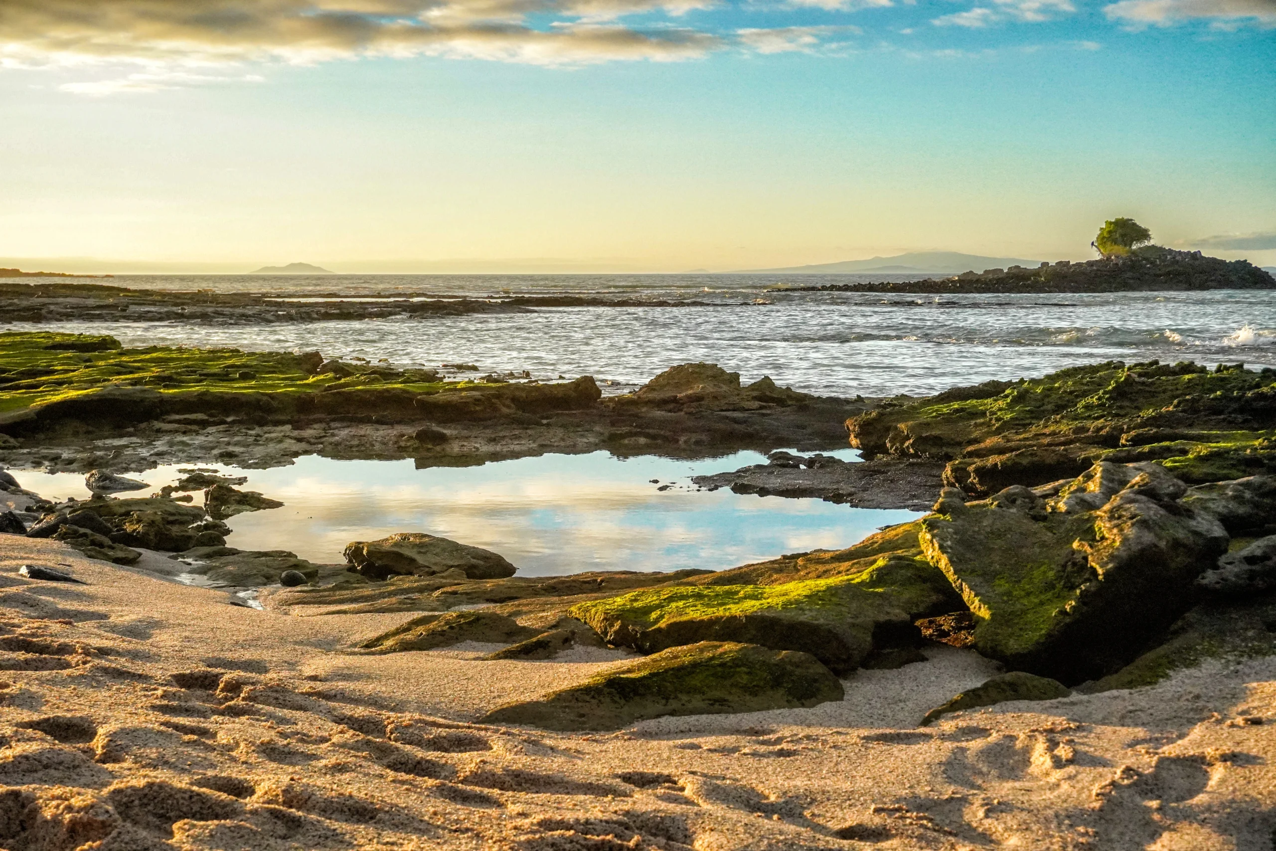 Tidepools at sunset on Santa Cruz Island, Galápagos